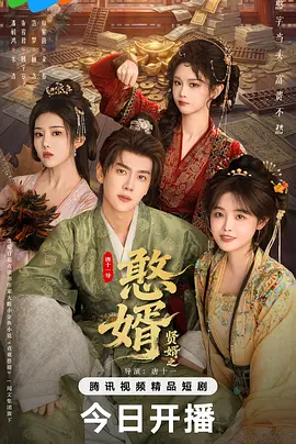 贤婿之憨婿