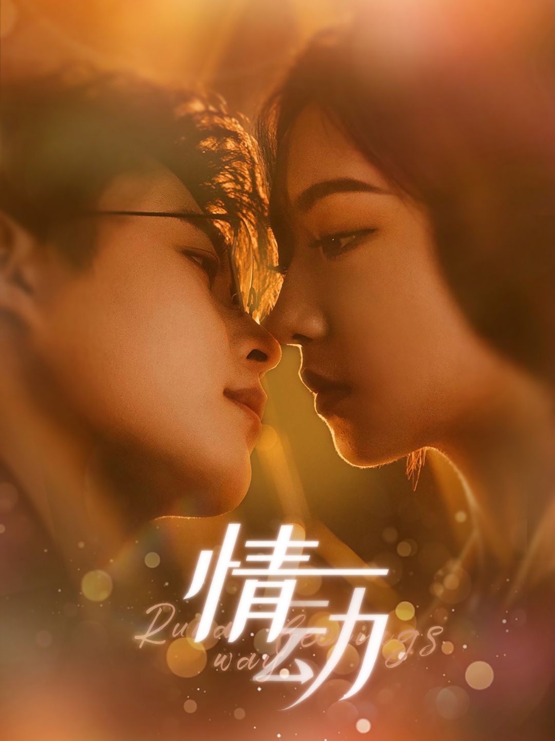 情动全集(大结局)