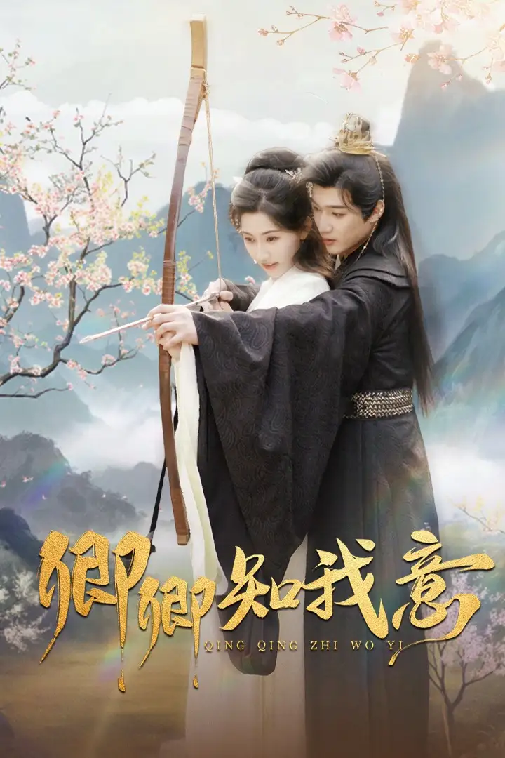 卿卿知我意第17集